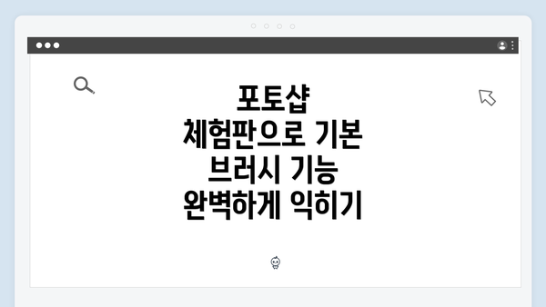 포토샵 체험판으로 기본 브러시 기능 완벽하게 익히기