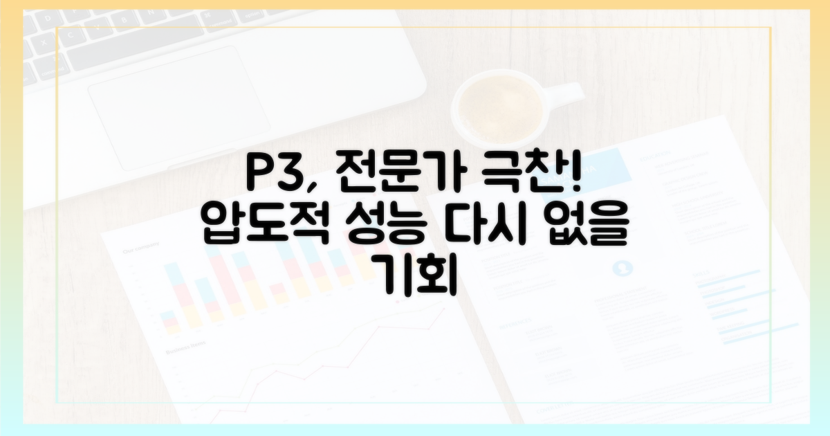 P3, 전문가도 반하다