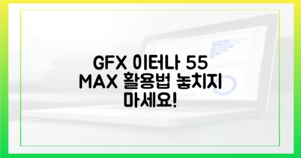 GFX 이터나 55, 활용하세요