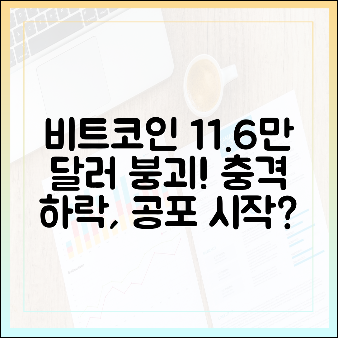 비트코인 11.6만 달러대, 충격 하락!