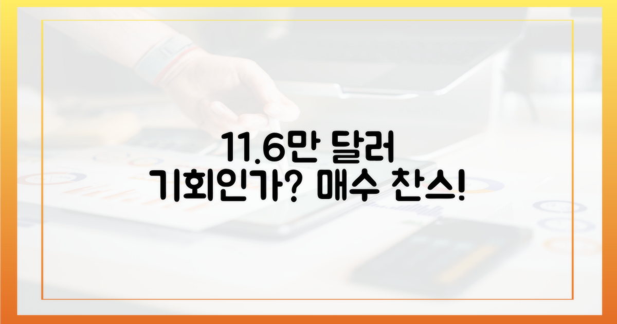 11.6만 달러대, 저점 매수 기회?