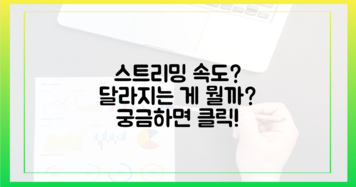 스트리밍 속도, 무엇이 다른가