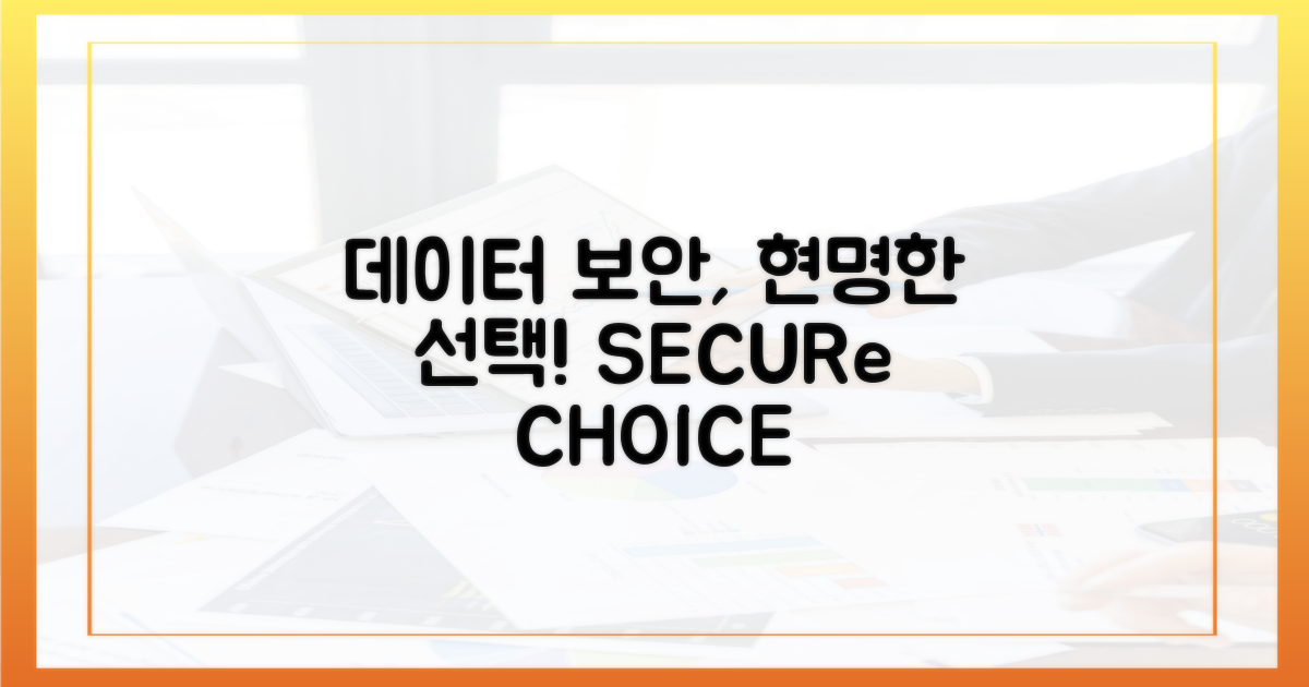 데이터 보안, 현명한 선택